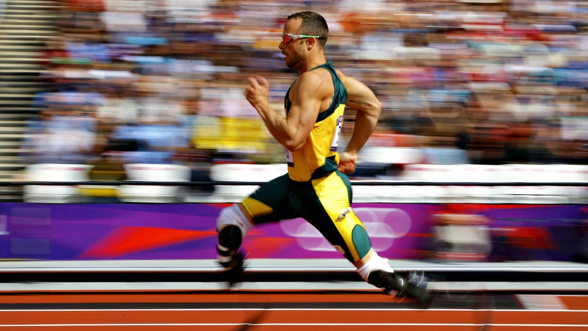 坚韧归来，明星运动员伤病康复背后的故事与启示